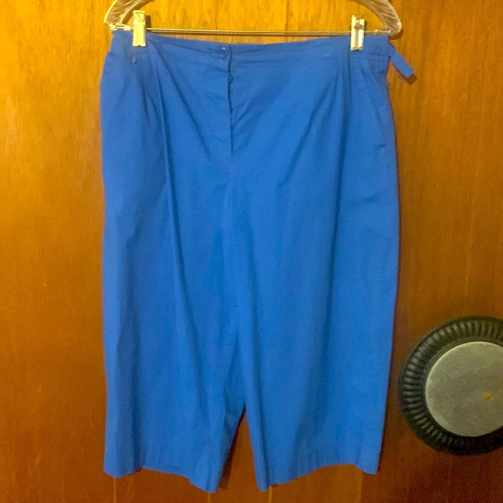 Capris - Picture 1 of 2